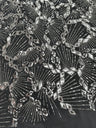 Silver Art Deco Mirror Sequin Lace