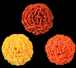 Marigold Flowers - Yellow, Orange & Rust - 32ct