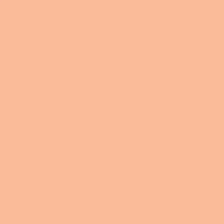 Matte Spandex Nylon Spandex Fabric - Matte Finish, 58"/60" Width, 230 GSM (1 Yard)
