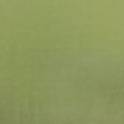 Asparagus Solid Minky Fabric,