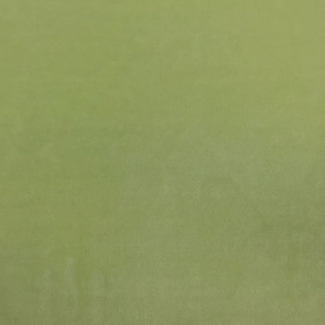 Asparagus Solid Minky Fabric,