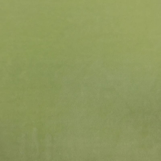 Asparagus Solid Minky Fabric,
