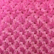Hot Pink Minky Rosebud Fabric,
