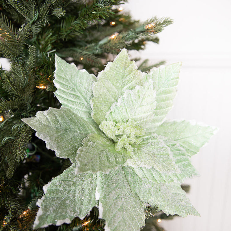 20” x 14" Mint Sugared Poinsettia Stem