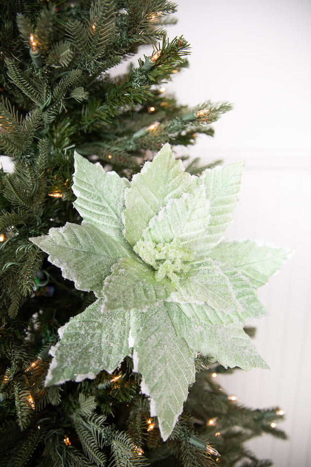 20” x 14" Mint Sugared Poinsettia Stem