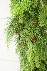 72" x 12" Natural Touch Mix Evergreen Garland