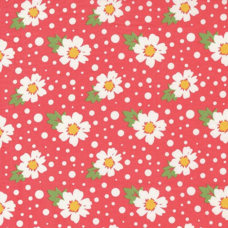 Quilting Cotton Zinnia Daisies in the Rain Flamingo Moda