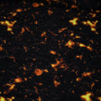 Printed Spandex Fabric Molten Magma