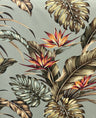 Cotton Upholstery Fabric Monstera Banana Leaves Birds of Paradise