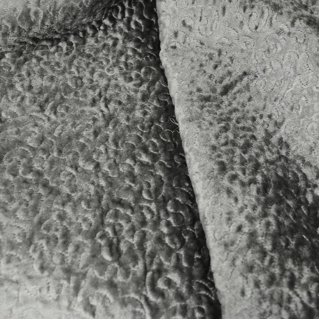 Metallic Panne Velvet Embroidered Fabric