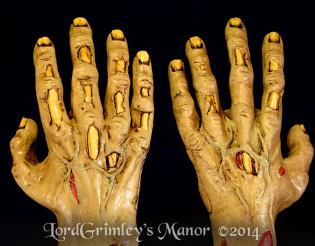 Rotten Flesh Full Gloves