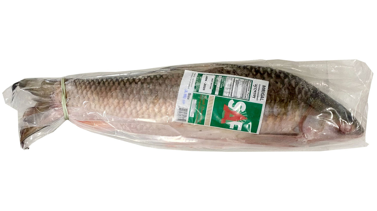 Mrigal IQF- 3 KG