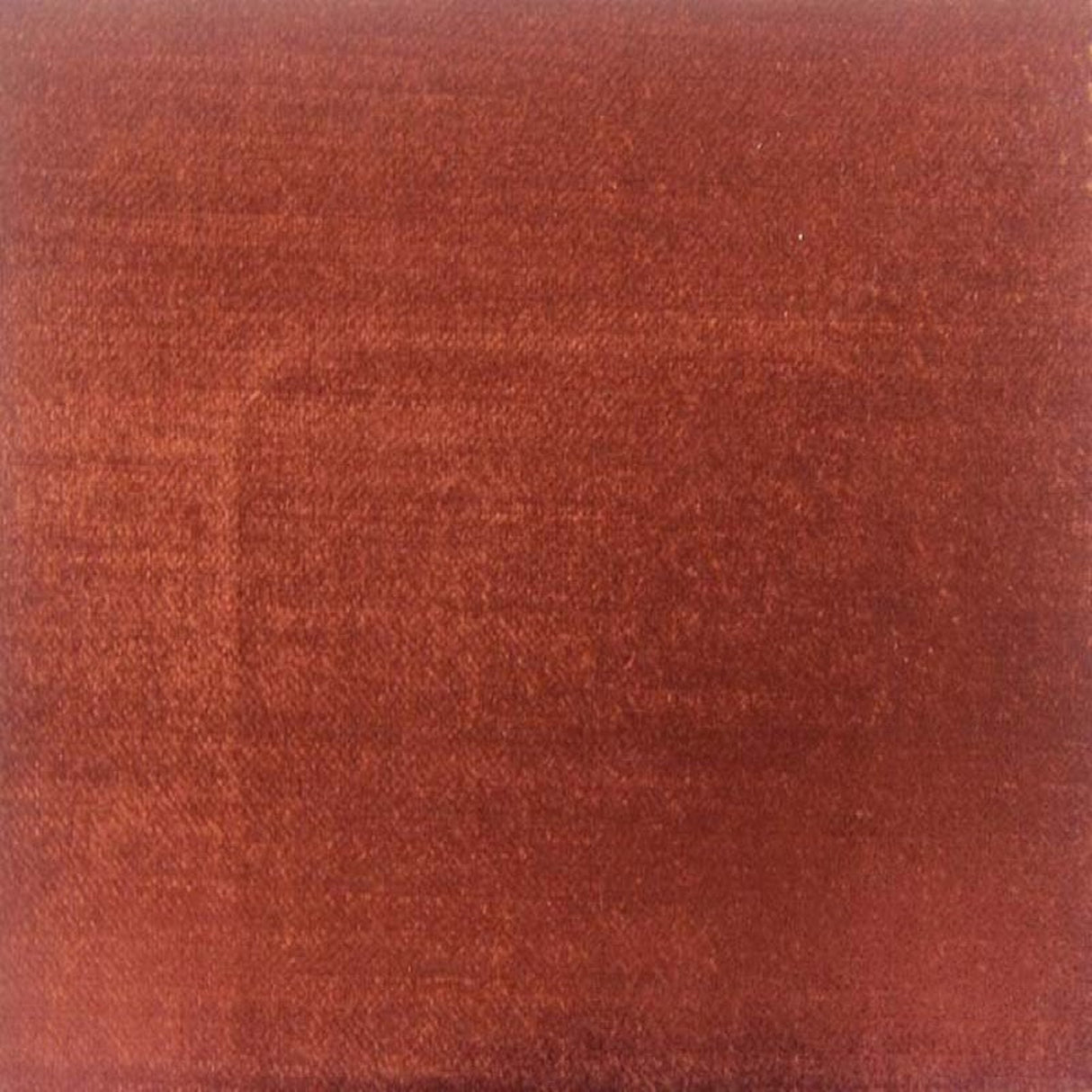 Namur Solid Textured Velvet Fabric - Solid Textured Velvet, 55" Width (1 Yard)