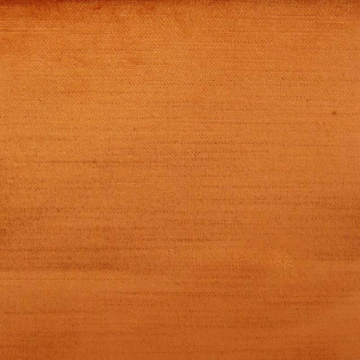 Namur Solid Textured Velvet Fabric - Solid Textured Velvet, 55" Width (1 Yard)