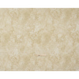 Stonehenge Quilting Cotton by Northcott - Desert Sand Abstract Texture - Basics Collection