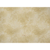 Stonehenge Wide Backing Quilting Cotton by Northcott, 108" Wide - Beige Abstract - Basics Wide Backing Collection