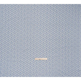 Printed Quilting Cotton by Anna Maria Textiles for Northcott - Sky Coneflower Floral - Indelible Collection