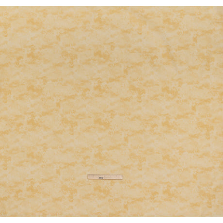 Printed Quilting Cotton by Deborah Edwards Northcott Studio - Shortbread Fresco Texture - Toscana Collection