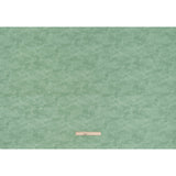 Printed Quilting Cotton by Deborah Edwards Northcott Studio - Sage Fresco Texture - Toscana Collection