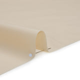 Premium Solid Quilting Cotton by Northcott - Ecru - Colorworks Collection