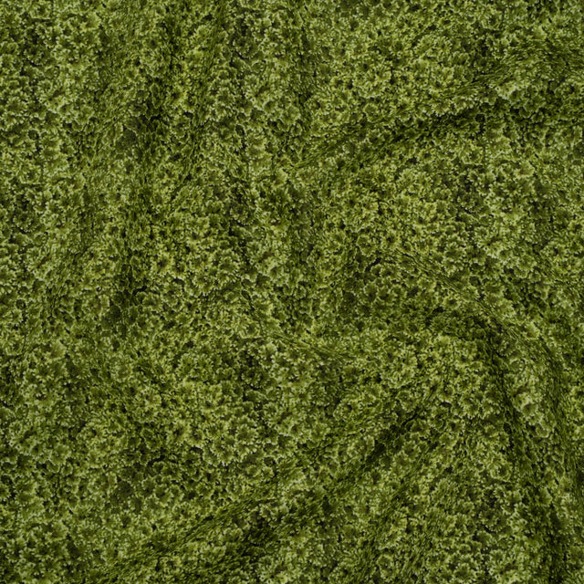 Printed Quilting Cotton by Northcott Studio - Light Green Foliage - Naturescapes Collection