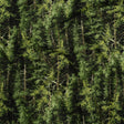 Printed Quilting Cotton by Northcott Studio - Mid Green Evergreen Trees - Naturescapes Collection