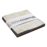 Stonehenge Quilting Cotton Chips 5" Square Precuts - Mineral - Gradations II Collection