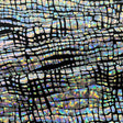 Foiled Spandex Disco Croc Hologram Fabric