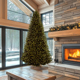 10ft North Valley Spruce Artificial Christmas Tree with Full Branch Design