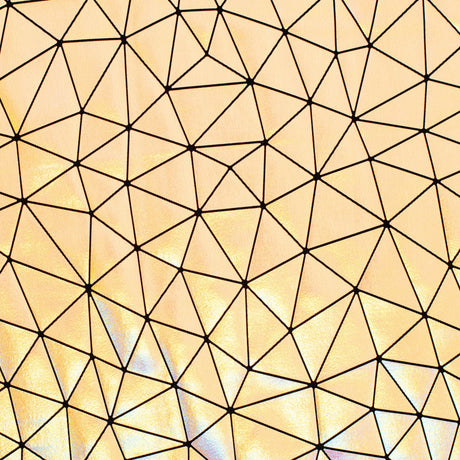 4-Way Stretch Nylon Spandex Bohemian Laser Hologram Fabric 60"