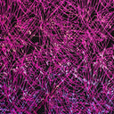 Nylon Spandex Fabric Dancing Splash Hologram Foil