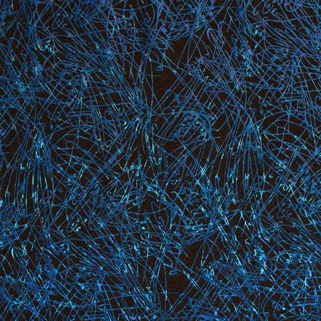 Nylon Spandex Fabric Dancing Splash Hologram Foil