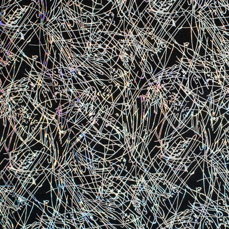 Nylon Spandex Fabric Dancing Splash Hologram Foil