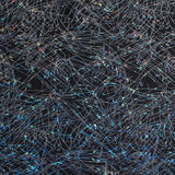 Nylon Spandex Fabric Dancing Splash Hologram Foil