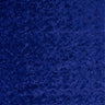 Sequin 4-Way Stretch Polyester Spandex Fabric