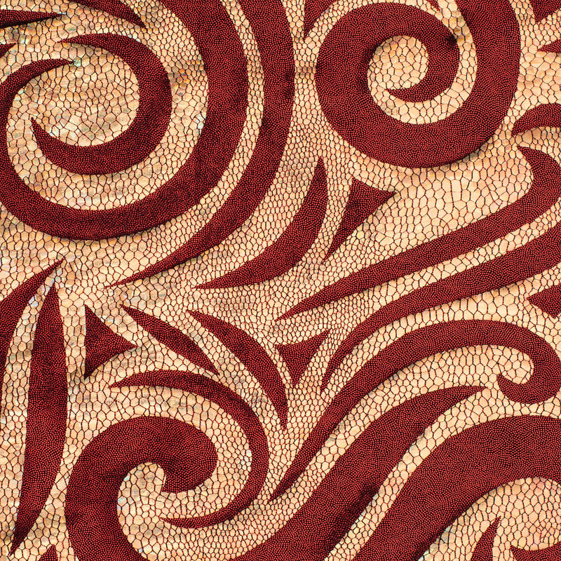 Nylon Spandex Paisley Foggy Foil Fabric