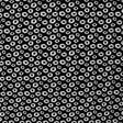 Printed Spandex White Daisy Fabric