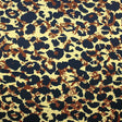Printed Spandex Big Cat