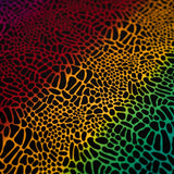 Printed Spandex Fabric Multicolor Safari Spots