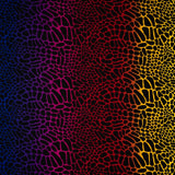 Printed Spandex Fabric Multicolor Safari Spots