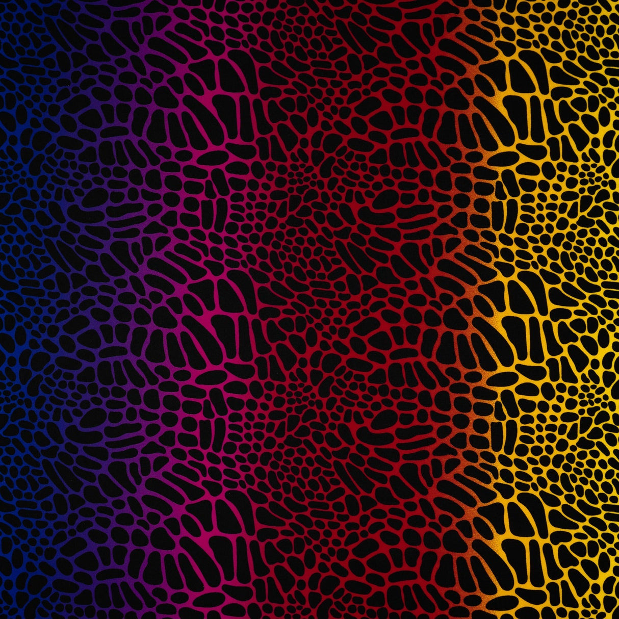 Multicolor Safari Spots Nylon Spandex Fabric - Multicolor Safari Spots, 55/56" Width (1 Yard)