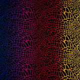 Multicolor Safari Spots Nylon Spandex Fabric - Multicolor Safari Spots, 55/56" Width (1 Yard)