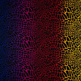 Multicolor Safari Spots Printed Nylon Spandex Fabric - Multicolor Safari Spots, 55/56" Width (1 Yard)