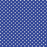 Polka Dot Printed Spandex Fabric