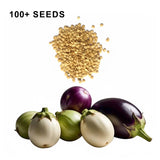 Round Eggplant Mix Seeds Three Color Variety Heirloom Non GMO Garden Collection