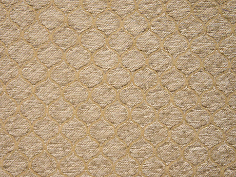 Sarah Elegant Upholstery Fabric