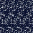 Cotton Print Navy Stars Path to Freedom Fabric