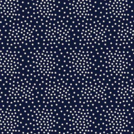 Cotton Print Navy Stars Path to Freedom Fabric