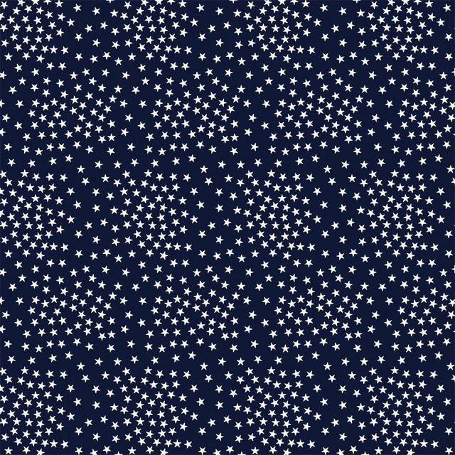 Cotton Print Navy Stars Path to Freedom Fabric