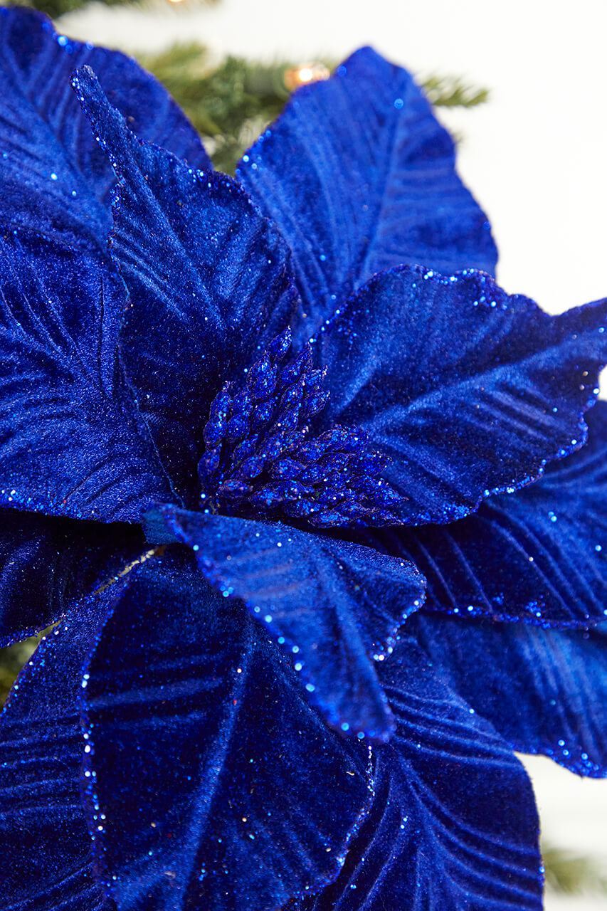 22" x 11" Royal Blue Velvet Poinsettia Stem